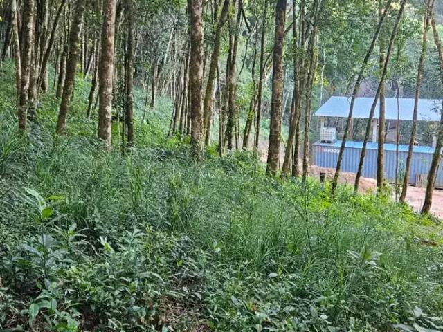 Sítio e chácara venda em Região Geográfica Imediata de Curitiba, Região Metropolitana de Curitiba