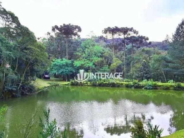 Sítio e chácara venda em Região Geográfica Imediata de Curitiba, Região Metropolitana de Curitiba