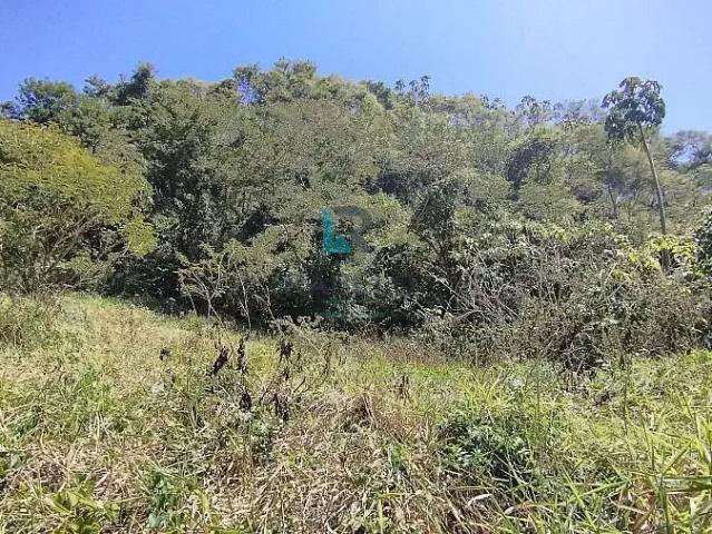 Sítio e chácara venda em Região Imediata de Cruzeiro, Região Metropolitana do Vale do Paraíba e Litoral Norte