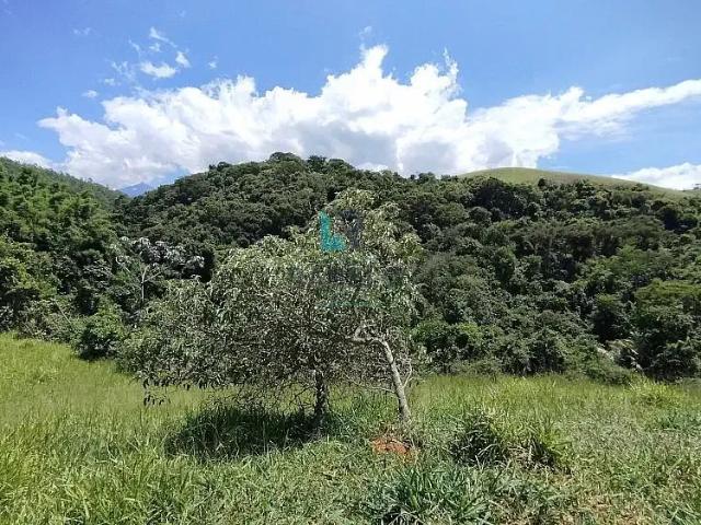 Sítio e chácara venda em Região Imediata de Cruzeiro, Região Metropolitana do Vale do Paraíba e Litoral Norte