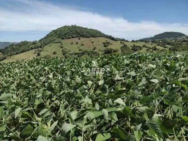 Sítio e chácara venda em Região Geográfica Imediata de Santa Maria, Quevedos