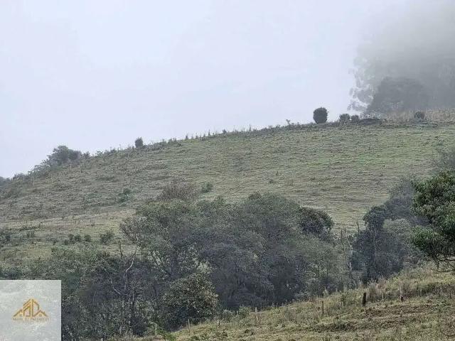 Sítio e chácara venda em Região Geográfica Imediata de Chapecó, Quilombo
