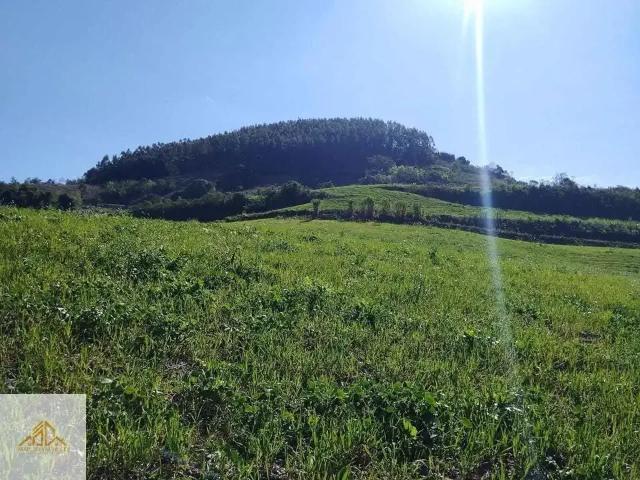 Sítio e chácara venda em Região Geográfica Imediata de Chapecó, Quilombo