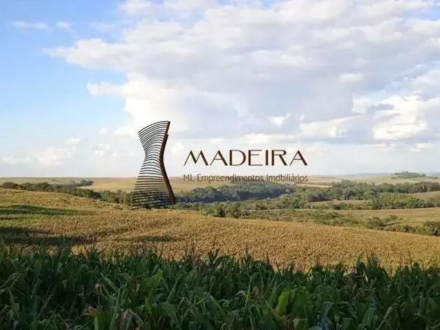 Sítio e chácara venda em Região Geográfica Imediata de Londrina, Londrina