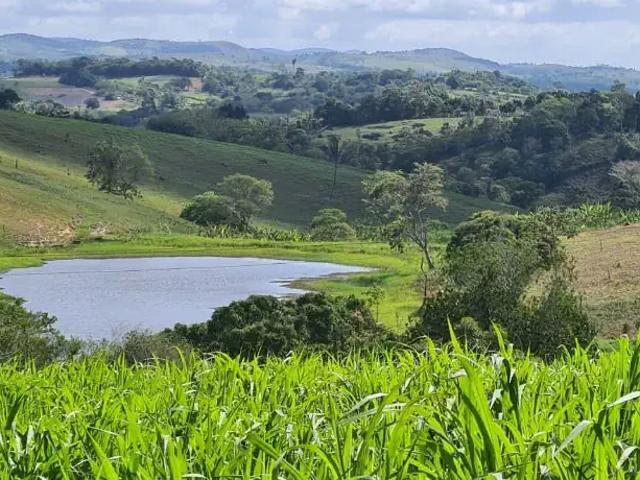 Sítio e chácara venda em Região Geográfica Imediata de Garanhuns, Quipapa