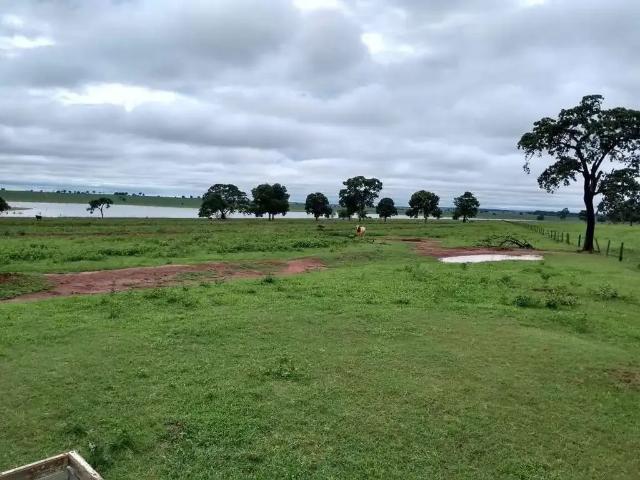 Sítio e chácara venda em Região Geográfica Imediata de Quirinópolis, Quirinópolis