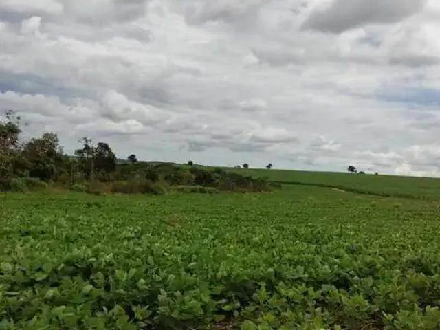 Sítio e chácara venda em Região Geográfica Imediata de Quirinópolis, Quirinópolis