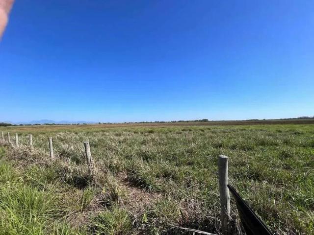 Sítio e chácara venda em Quissamã, Região Geográfica Intermediária de Macaé-Rio das Ostras-Cabo Frio