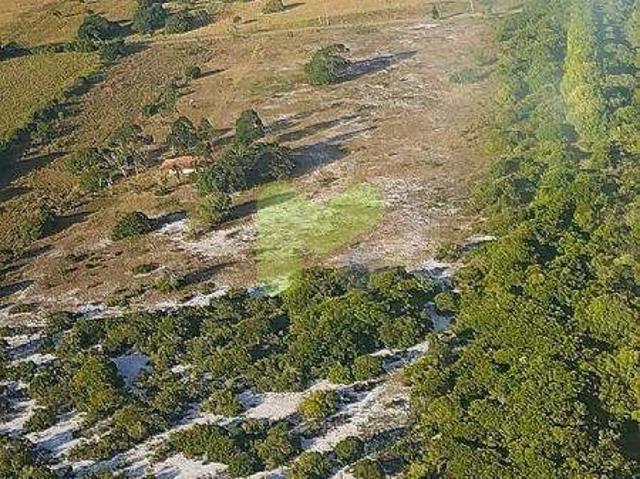 Sítio e chácara venda em Carmo, Quissamã