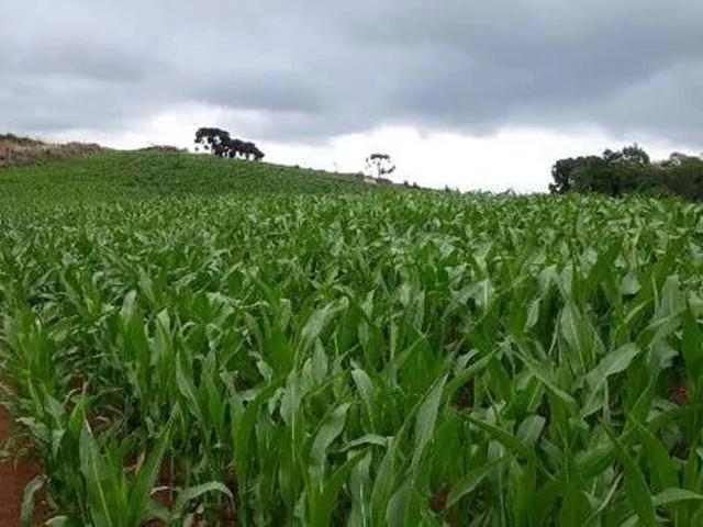 Sítio e chácara venda em Quitandinha, Região Geográfica Intermediária de Curitiba