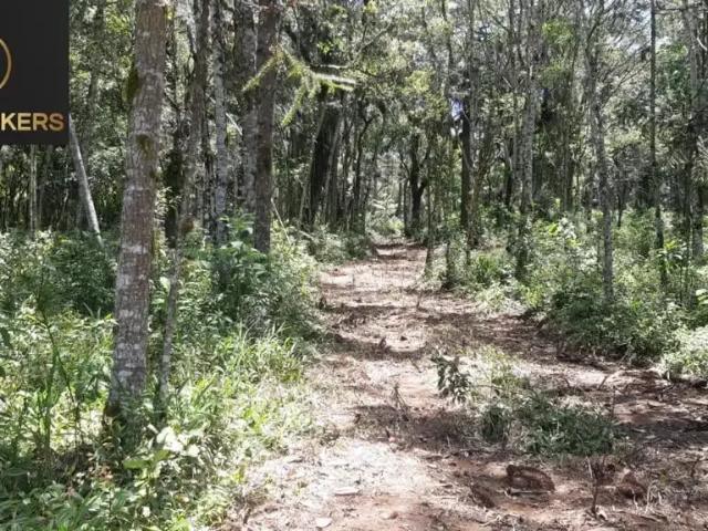 Sítio e chácara venda em Região Geográfica Imediata de Curitiba, Região Metropolitana de Curitiba