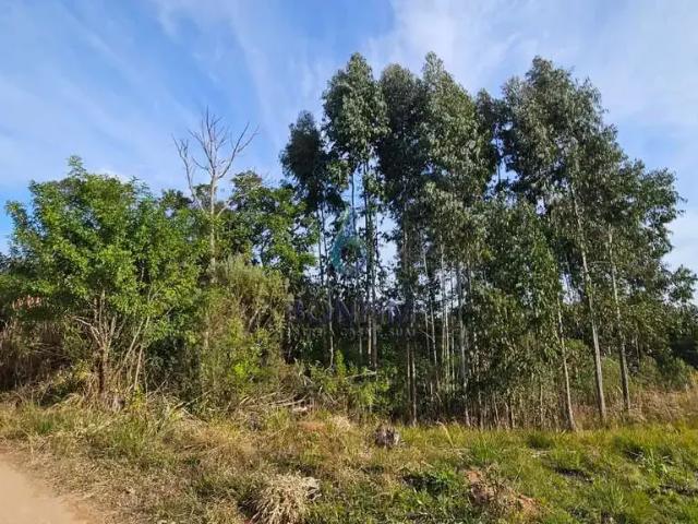 Sítio e chácara venda em Região Geográfica Imediata de Curitiba, Região Metropolitana de Curitiba
