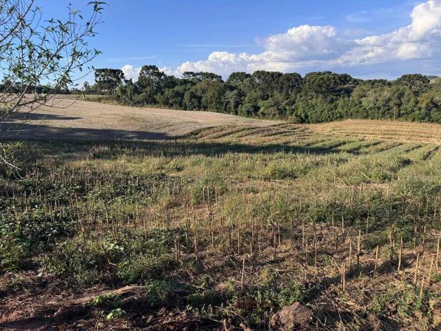 Sítio e chácara venda em Quitandinha, Região Geográfica Intermediária de Curitiba
