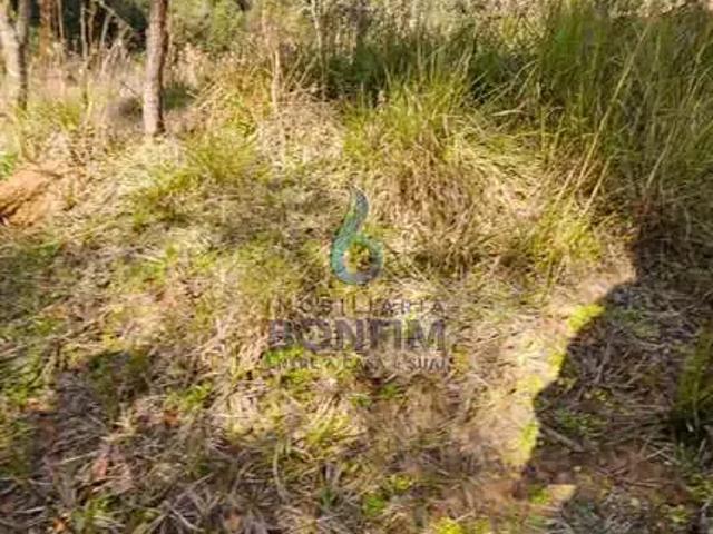 Sítio e chácara venda em Região Geográfica Imediata de Curitiba, Região Metropolitana de Curitiba