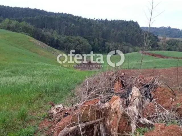 Sítio e chácara venda em Região Geográfica Imediata de Curitiba, Região Metropolitana de Curitiba