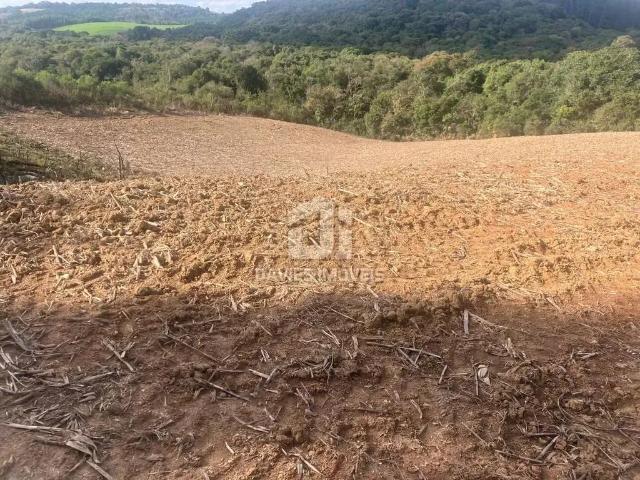 Sítio e chácara venda em Região Geográfica Imediata de Curitiba, Região Metropolitana de Curitiba
