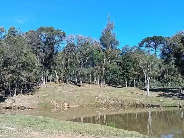 Sítio e chácara venda em Região Geográfica Imediata de Curitiba, Região Metropolitana de Curitiba