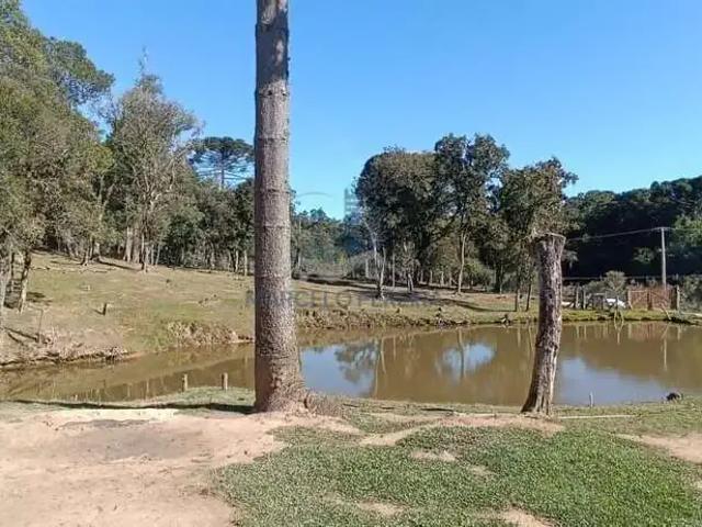 Sítio e chácara venda em Região Geográfica Imediata de Curitiba, Região Metropolitana de Curitiba