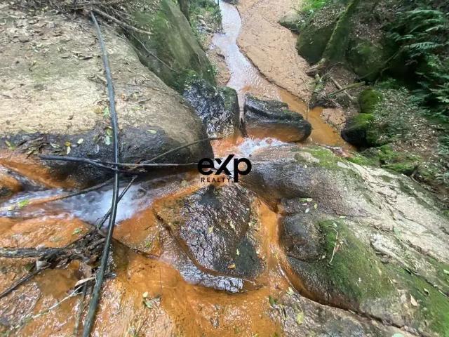 Sítio e chácara venda em Região Geográfica Imediata de Curitiba, Região Metropolitana de Curitiba
