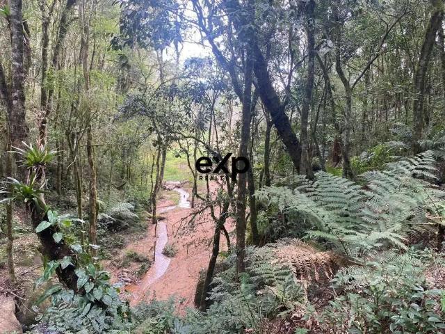 Sítio e chácara venda em Região Geográfica Imediata de Curitiba, Região Metropolitana de Curitiba