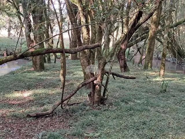 Sítio e chácara venda em Região Geográfica Imediata de Curitiba, Região Metropolitana de Curitiba