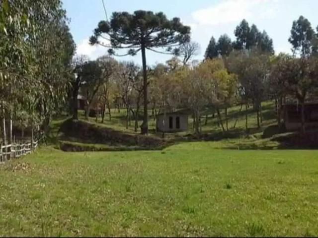 Sítio e chácara venda em Várzea, Região Nordeste
