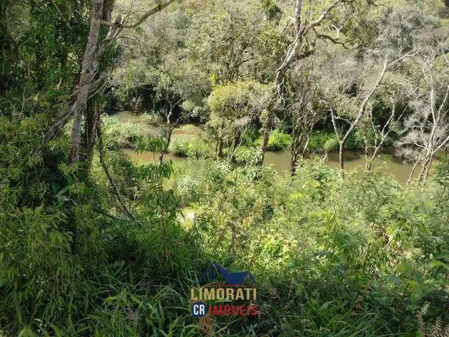 Sítio e chácara venda em Região Geográfica Imediata de Curitiba, Região Metropolitana de Curitiba