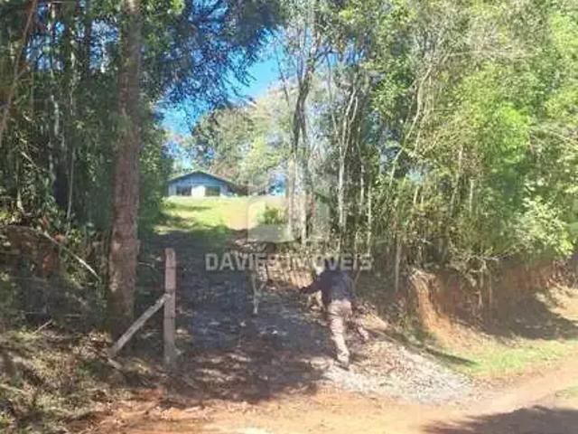 Sítio e chácara venda em Região Geográfica Imediata de Curitiba, Região Metropolitana de Curitiba