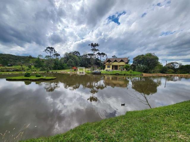 Sítio e chácara venda em Região Geográfica Imediata de Porto Alegre, Região Metropolitana de Porto Alegre