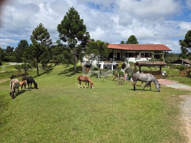 Sítio e chácara venda em Rancho Queimado, Região Geográfica Intermediária de Florianópolis