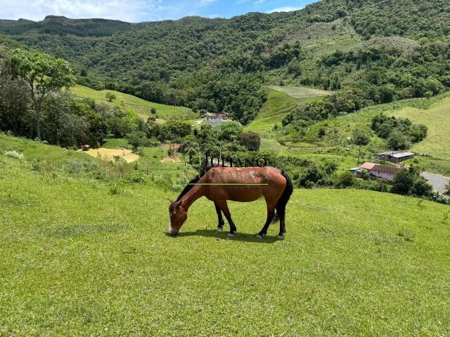 Sítio e chácara venda em Centro, Rancho Queimado