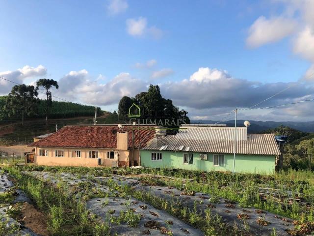 Sítio e chácara venda em Centro, Rancho Queimado