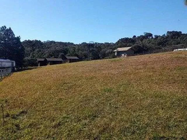 Sítio e chácara venda em Região Geográfica Imediata de Florianópolis, Pouso Redondo