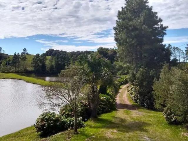 Sítio e chácara venda em Região Geográfica Imediata de Florianópolis, Pouso Redondo