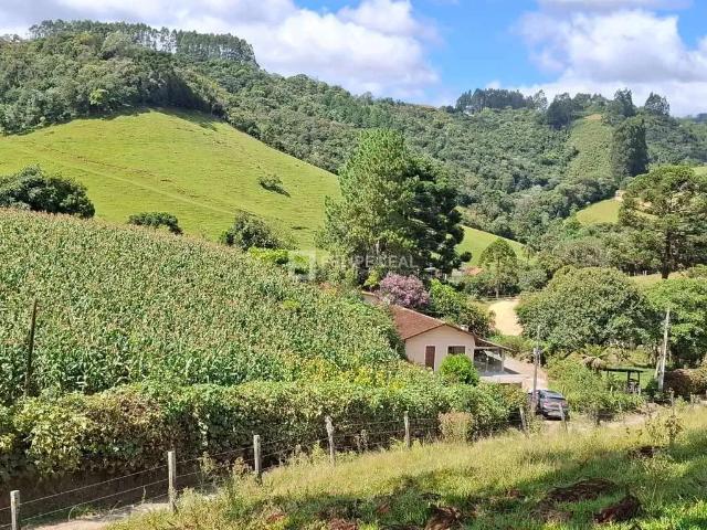 Sítio e chácara venda em Região Geográfica Imediata de Florianópolis, Pouso Redondo