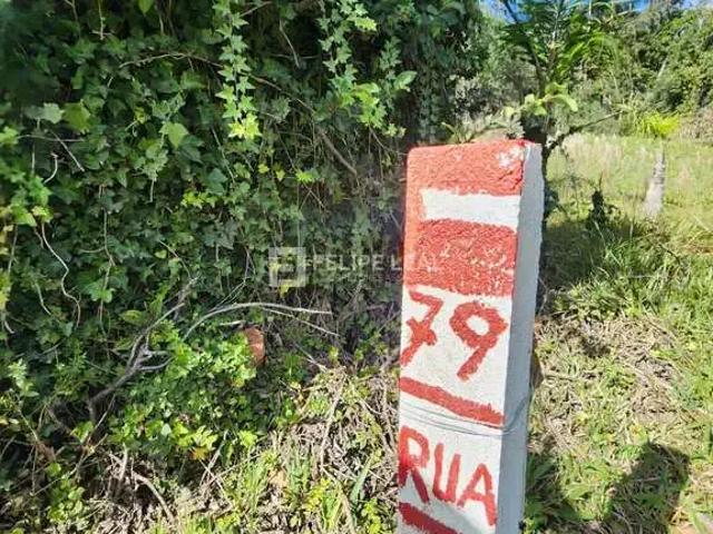 Sítio e chácara venda em Região Geográfica Imediata de Florianópolis, Santo Amaro da Imperatriz