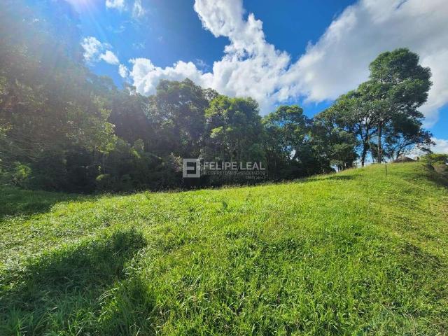 Sítio e chácara venda em Região Geográfica Imediata de Florianópolis, Pouso Redondo