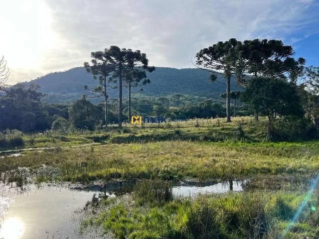 Sítio e chácara venda em Região Geográfica Imediata de Florianópolis, Pouso Redondo