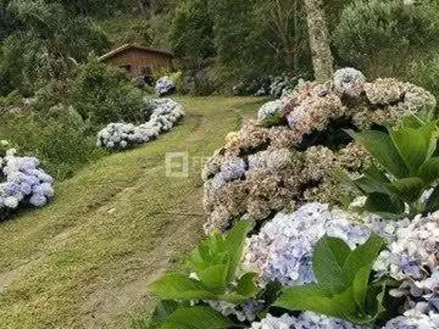 Sítio e chácara venda em Região Geográfica Imediata de Florianópolis, Pouso Redondo