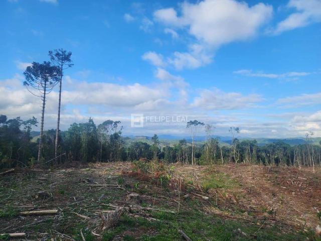 Sítio e chácara venda em Região Geográfica Imediata de Florianópolis, Pouso Redondo