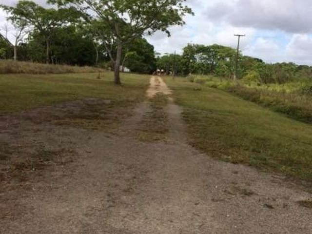 Sítio e chácara venda em Região Geográfica Imediata do Recife, Região Metropolitana do Recife