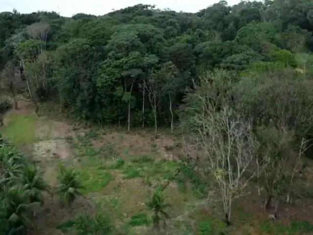 Sítio e chácara venda em Região Geográfica Imediata do Recife, Região Metropolitana do Recife