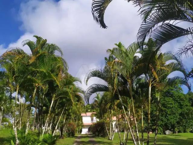 Sítio e chácara venda em Região Geográfica Imediata do Recife, Região Metropolitana do Recife