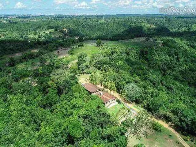Sítio e chácara venda em Região Geográfica Imediata do Recife, Região Metropolitana do Recife
