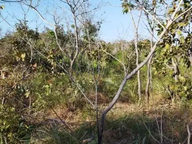 Sítio e chácara venda em Região Geográfica Imediata de Guaraí, Recursolândia