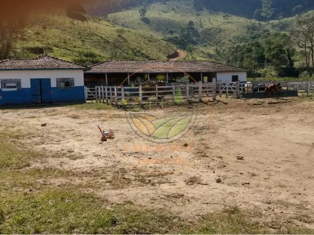 Sítio e chácara venda em Região Imediata de Taubaté-Pindamonhangaba, Região Metropolitana do Vale do Paraíba e Litoral Norte