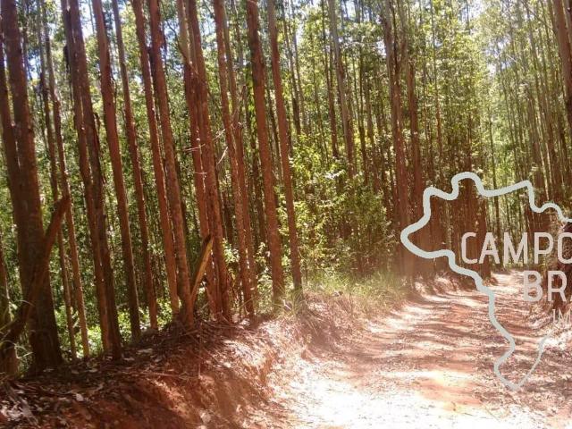 Sítio e chácara venda em Redenção da Serra