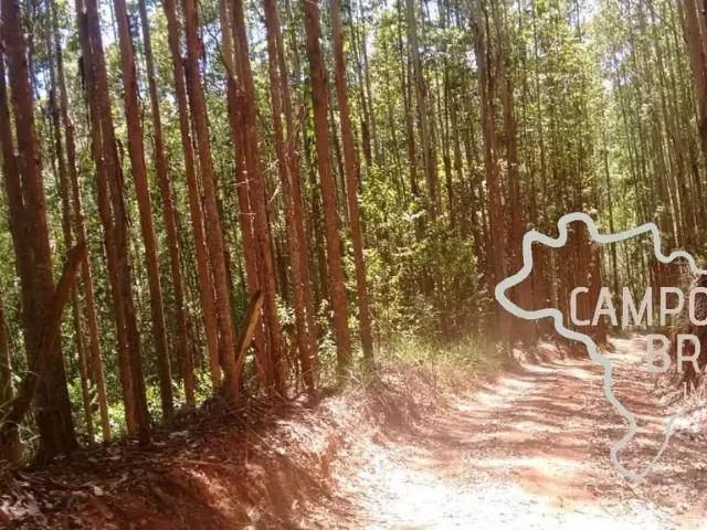 Sítio e chácara venda em Região Imediata de Taubaté-Pindamonhangaba, Região Metropolitana do Vale do Paraíba e Litoral Norte