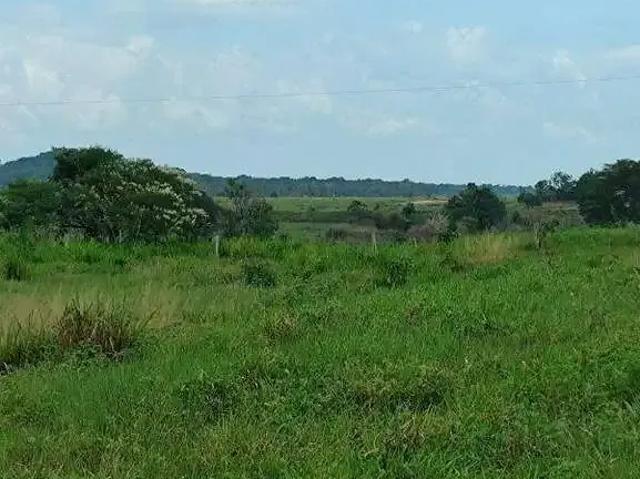Sítio e chácara venda em Redenção, Região Norte