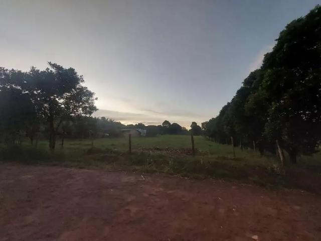 Sítio e chácara venda em Região Imediata de Presidente Prudente, Regente Feijo